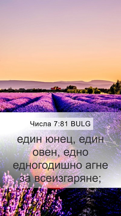 Числа 7:81 BULG Mobile Phone Wallpaper - един юнец, един овен, едно - Mobile Bible Verse Wallpaper
