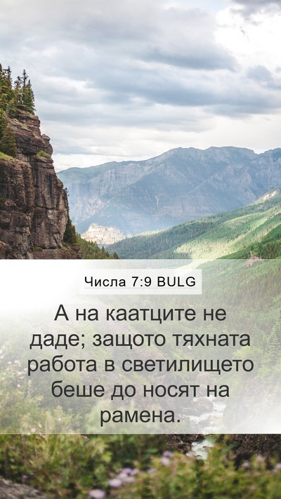 Числа 7:9 BULG Mobile Phone Wallpaper - А на каатците не даде; - Mobile Bible Verse Wallpaper