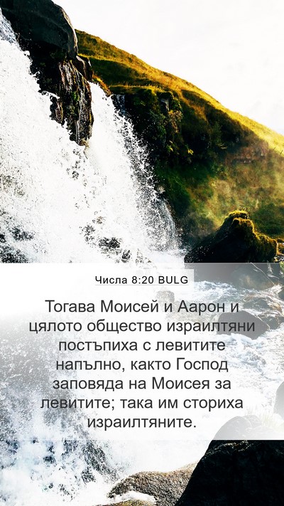 Числа 8:20 BULG Bible Verse Image