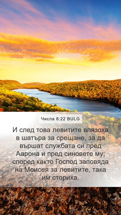 Числа 8:22 BULG Bible Verse Image