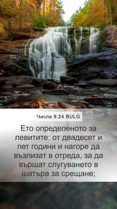 Числа 8:24 BULG Bible Verse Image