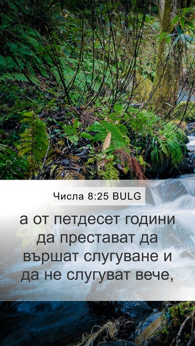 Числа 8:25 BULG Mobile Phone Wallpaper - а от петдесет години да - Mobile Bible Verse Wallpaper