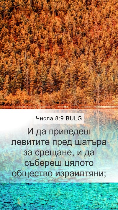 Числа 8:9 BULG Mobile Phone Wallpaper - И да приведеш левитите - Mobile Bible Verse Wallpaper