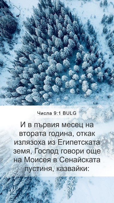 Числа 9:1 BULG Bible Verse Image